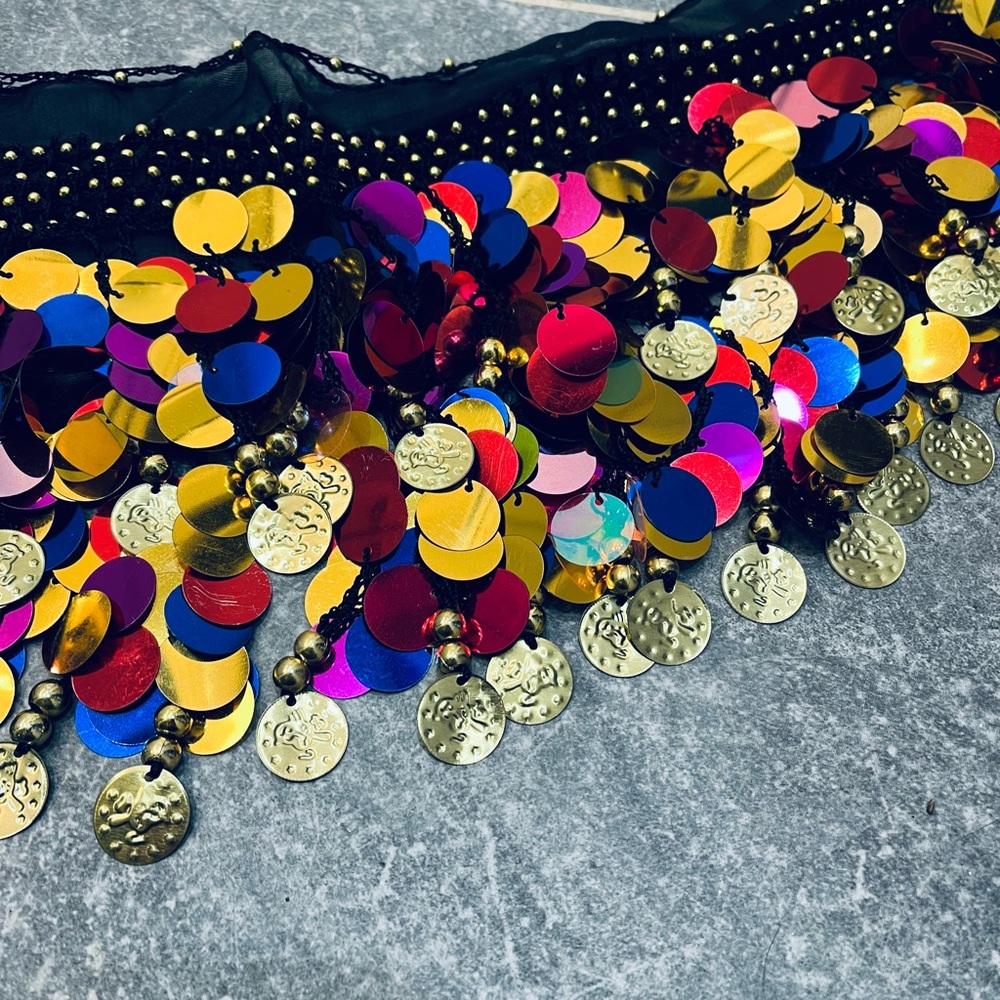 Colorful Sequin Belly Dance Hip Scarf - Picture 3 of 3
